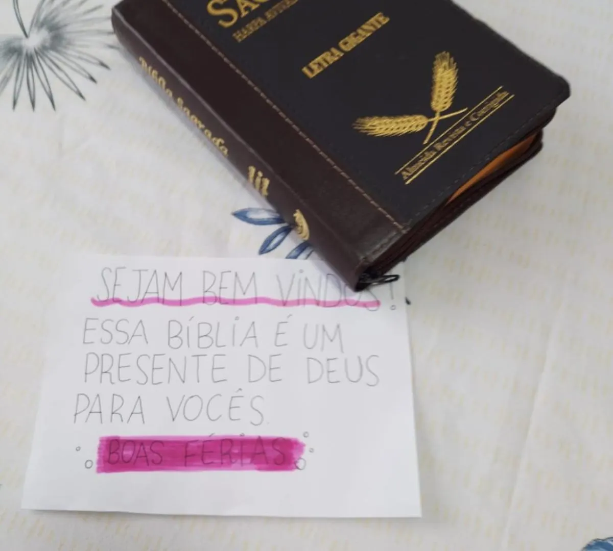 Appartamento N A O ,Esta Disponivel Em Porto Belo 0*,  Brasile